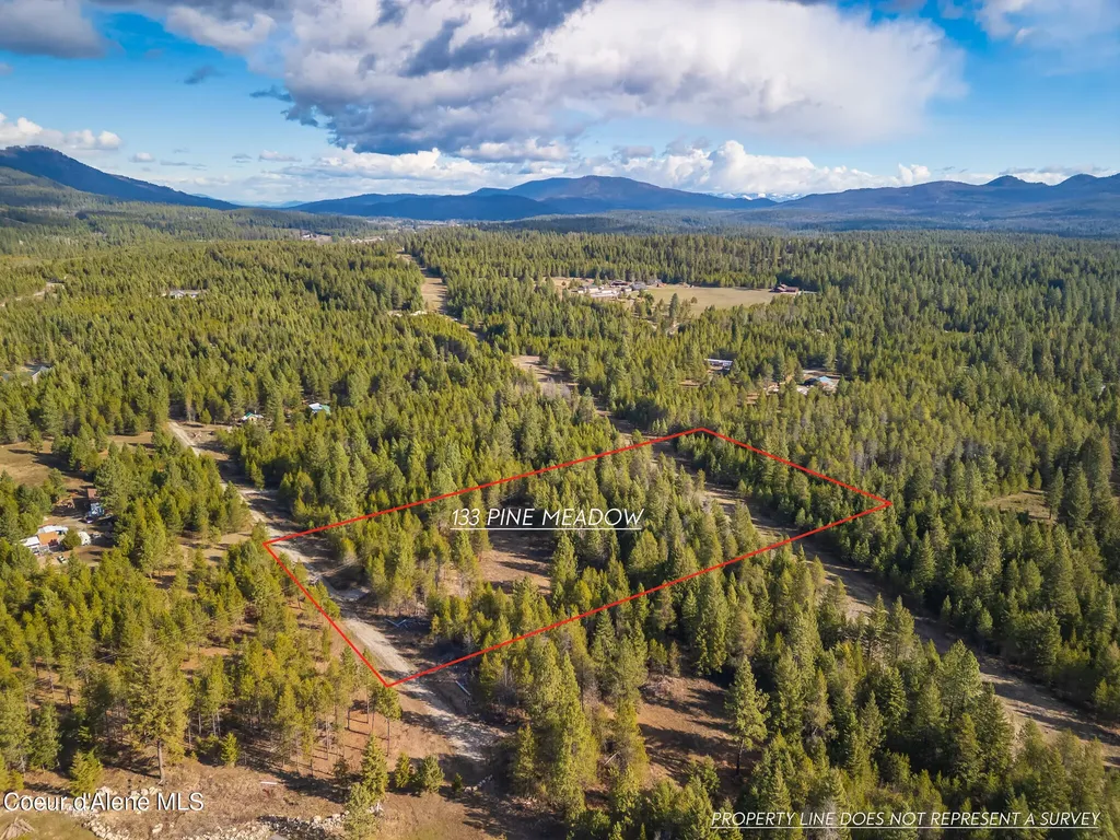 133 Pine Meadow Athol ID 83801