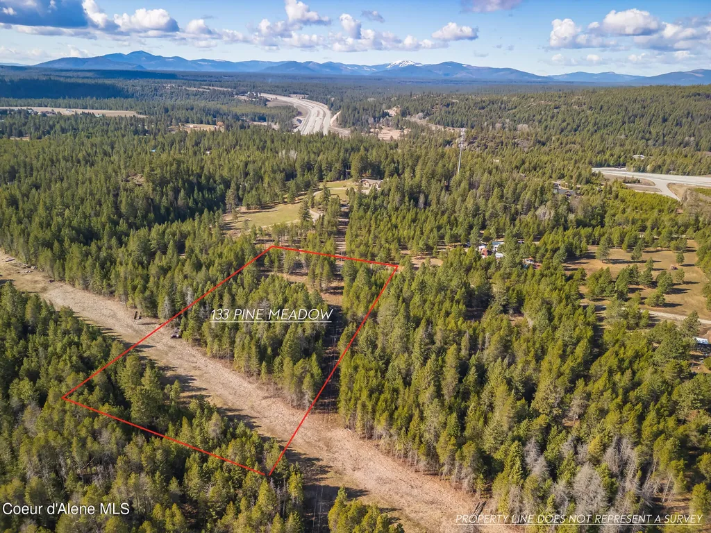 133 Pine Meadow Athol ID 83801