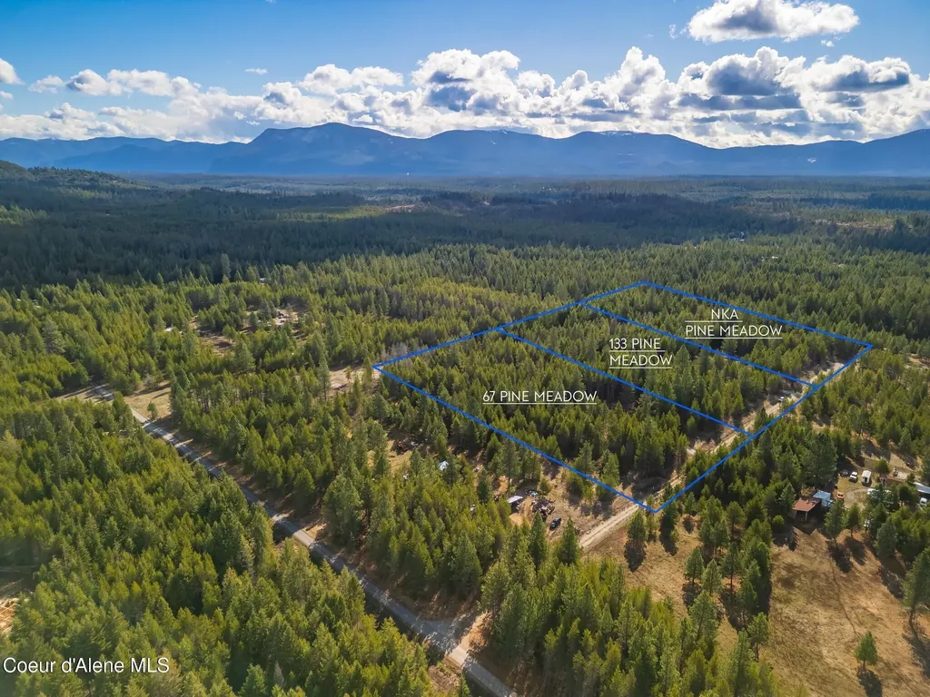 133 Pine Meadow Athol ID 83801