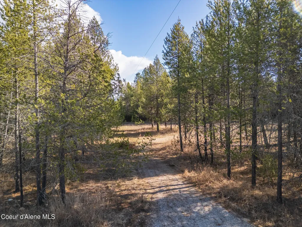 133 Pine Meadow Athol ID 83801