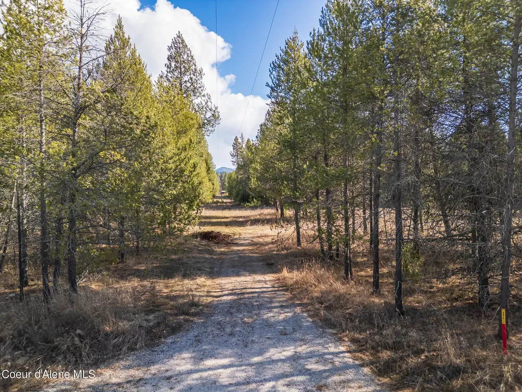 133 Pine Meadow Athol ID 83801
