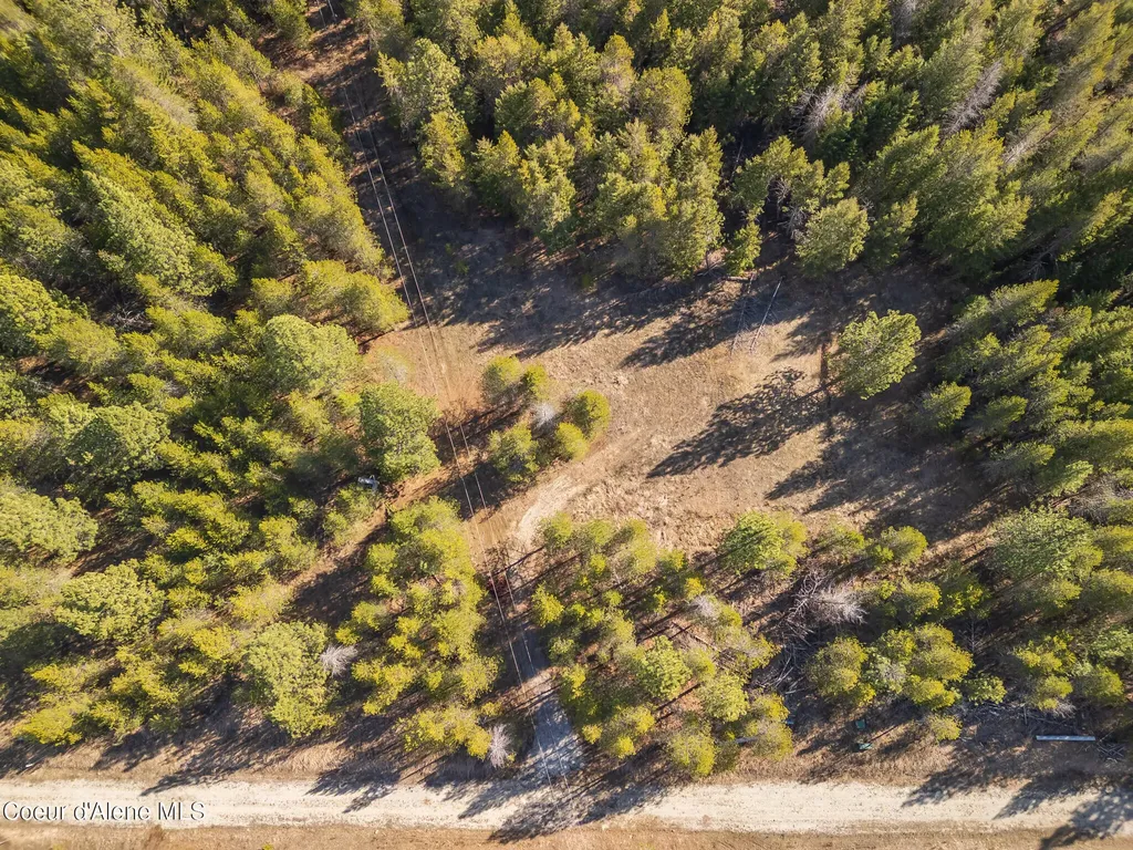 133 Pine Meadow Athol ID 83801