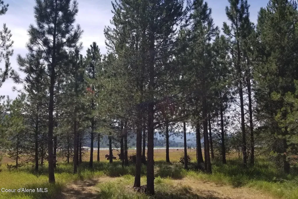 Nna Ponderesa Ranch Road Sagle ID 83860