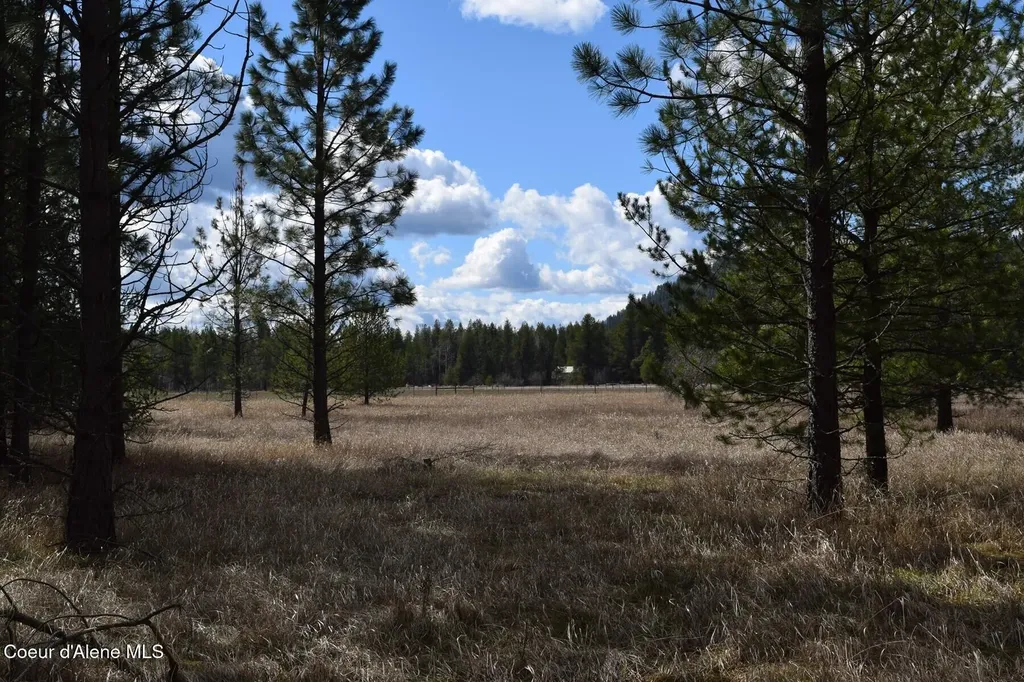 Nna Ponderesa Ranch Road Sagle ID 83860