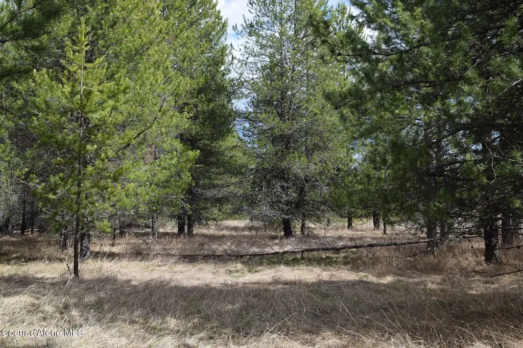 Nna Ponderesa Ranch Road Sagle ID 83860