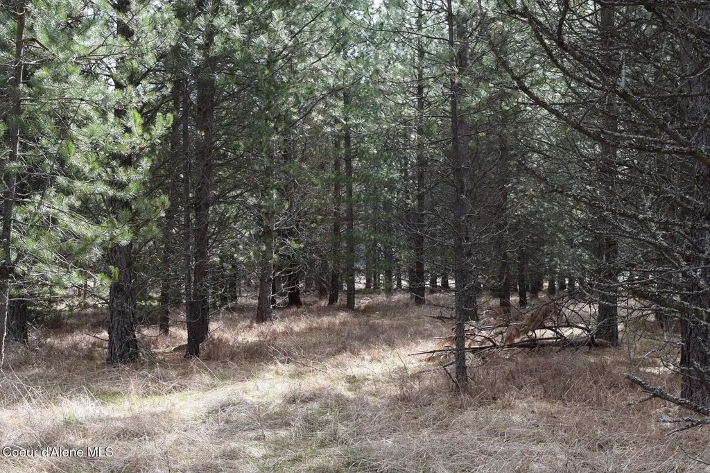 Nna Ponderesa Ranch Road Sagle ID 83860