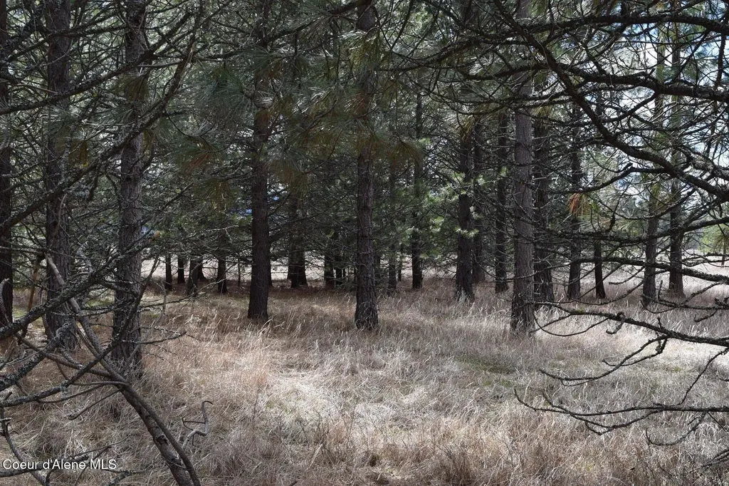 Nna Ponderesa Ranch Road Sagle ID 83860