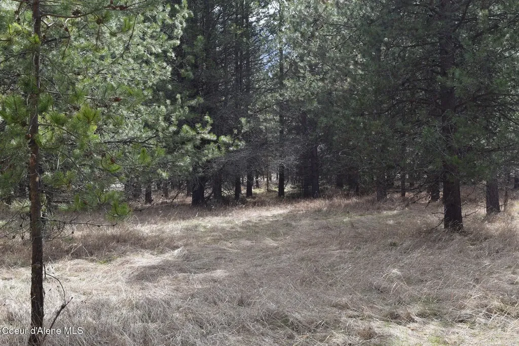 Nna Ponderesa Ranch Road Sagle ID 83860