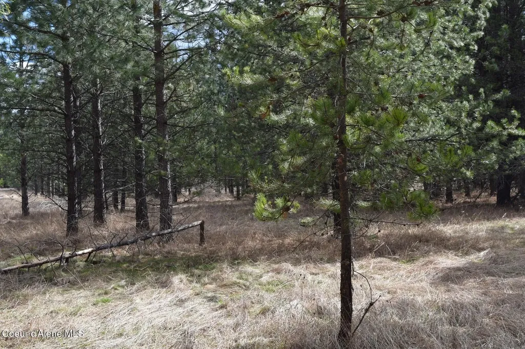 Nna Ponderesa Ranch Road Sagle ID 83860
