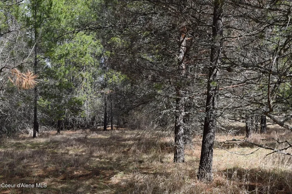 Nna Ponderesa Ranch Road Sagle ID 83860