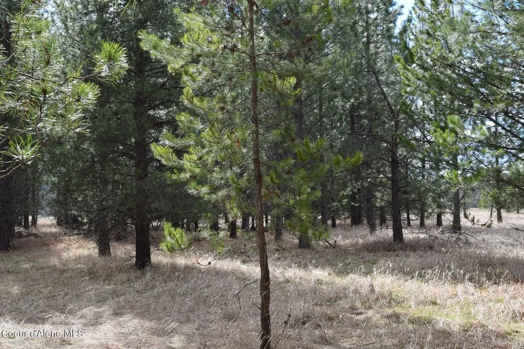 Nna Ponderesa Ranch Road Sagle ID 83860