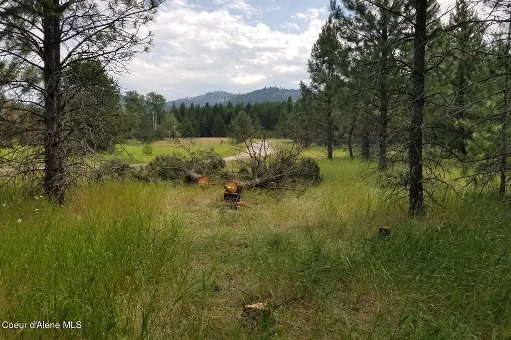 Nna Ponderesa Ranch Road Sagle ID 83860