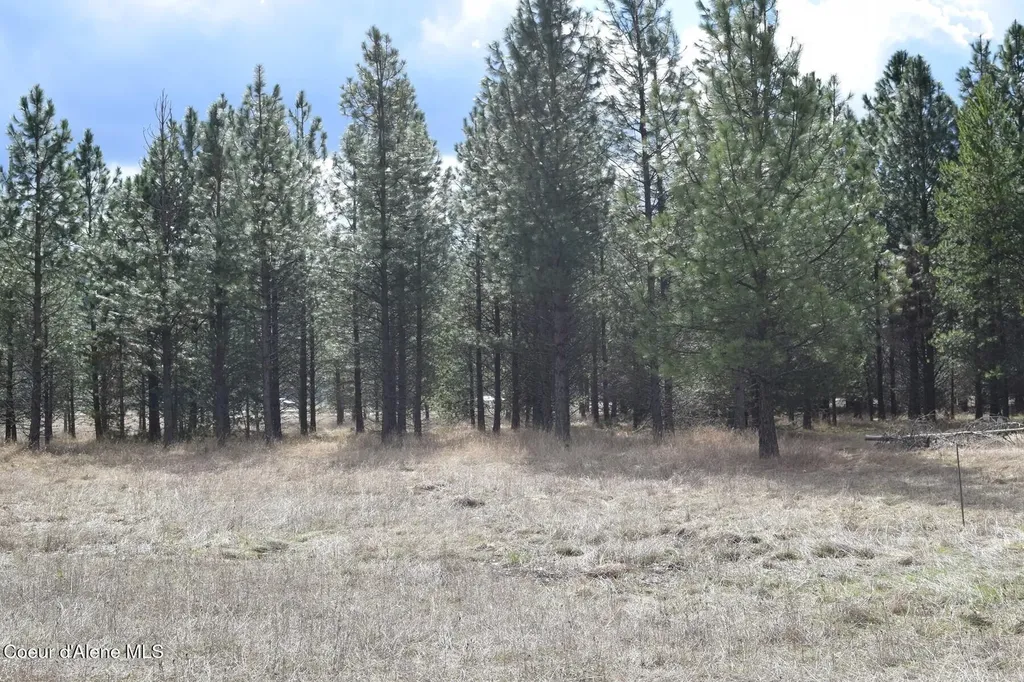Nna Ponderesa Ranch Road Sagle ID 83860