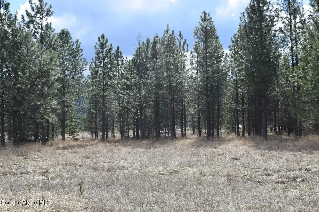 Nna Ponderesa Ranch Road Sagle ID 83860