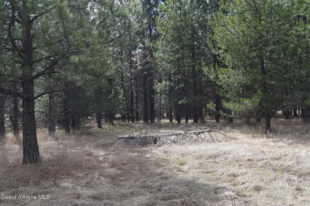 Nna Ponderesa Ranch Road Sagle ID 83860