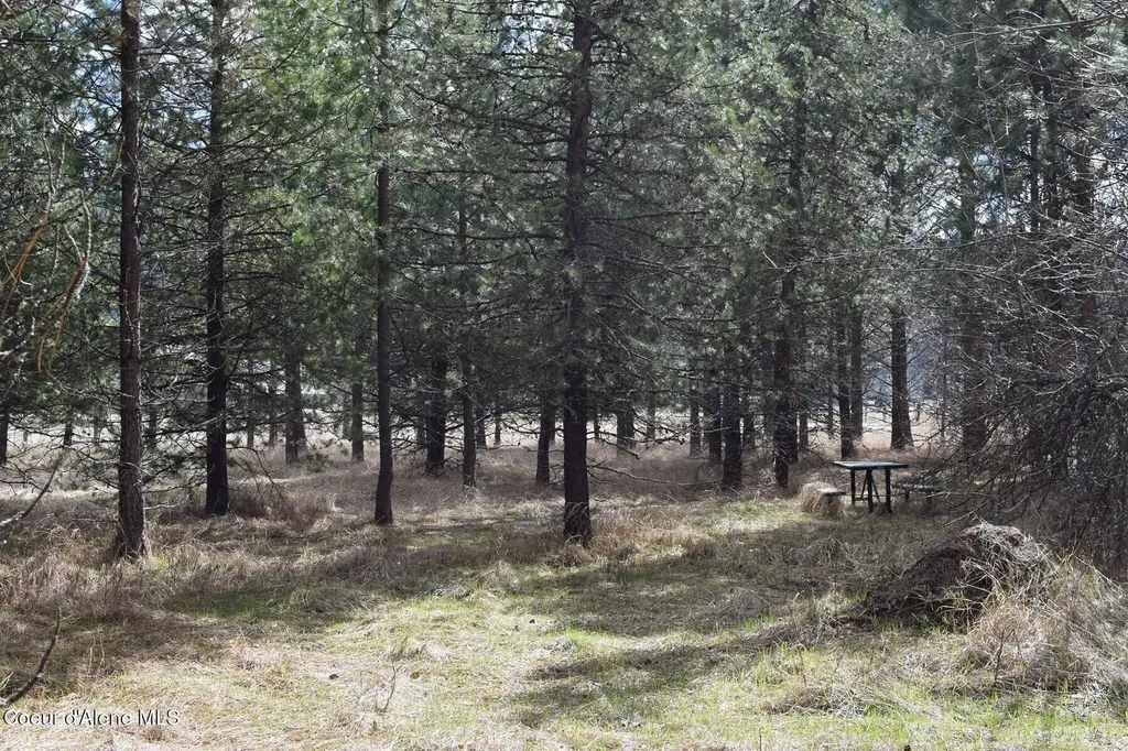 Nna Ponderesa Ranch Road Sagle ID 83860