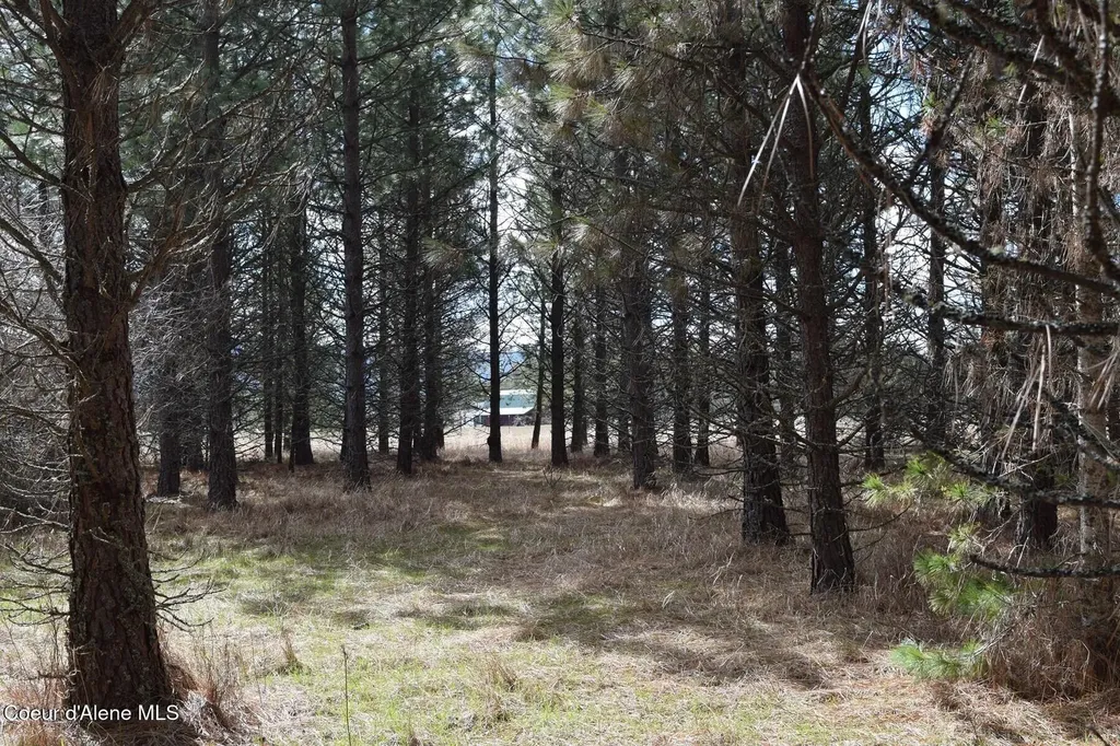 Nna Ponderesa Ranch Road Sagle ID 83860