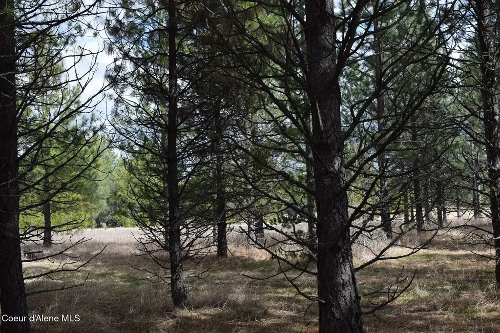 Nna Ponderesa Ranch Road Sagle ID 83860