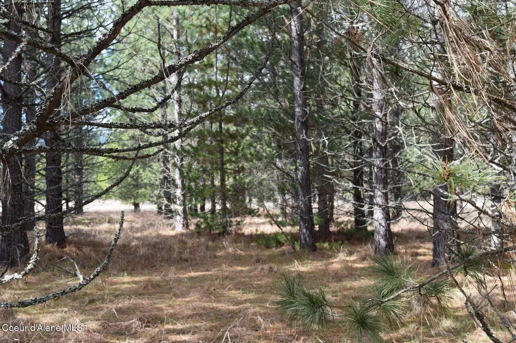 Nna Ponderesa Ranch Road Sagle ID 83860