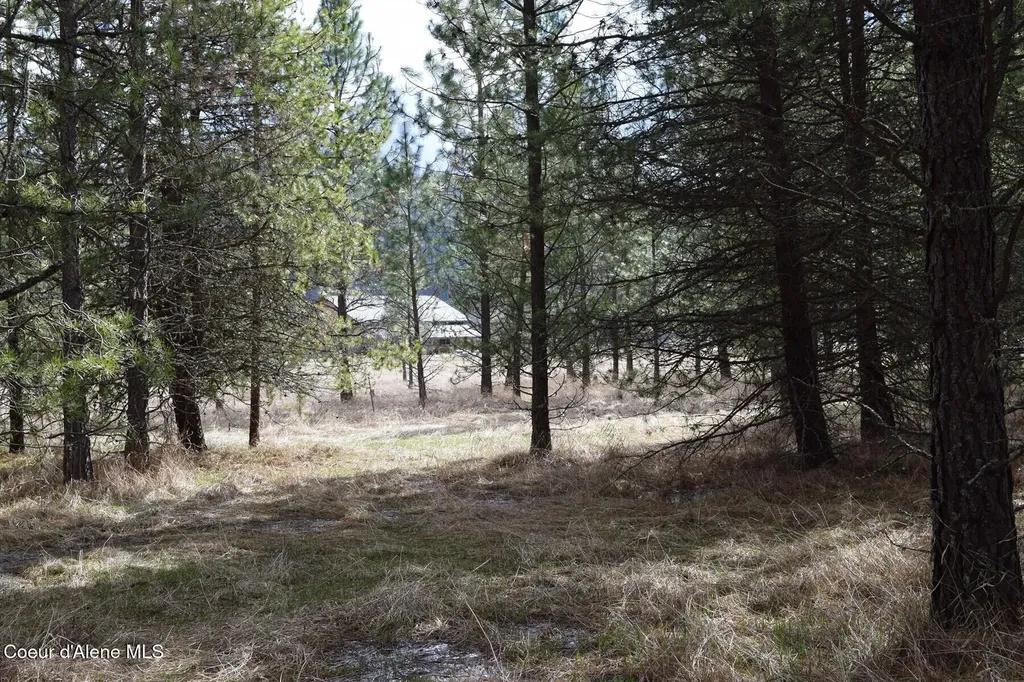 Nna Ponderesa Ranch Road Sagle ID 83860