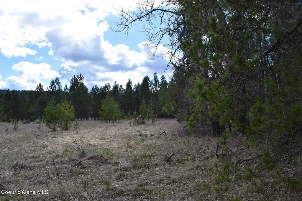 Nna Ponderesa Ranch Road Sagle ID 83860
