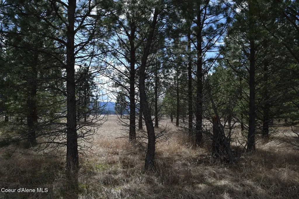 Nna Ponderesa Ranch Road Sagle ID 83860