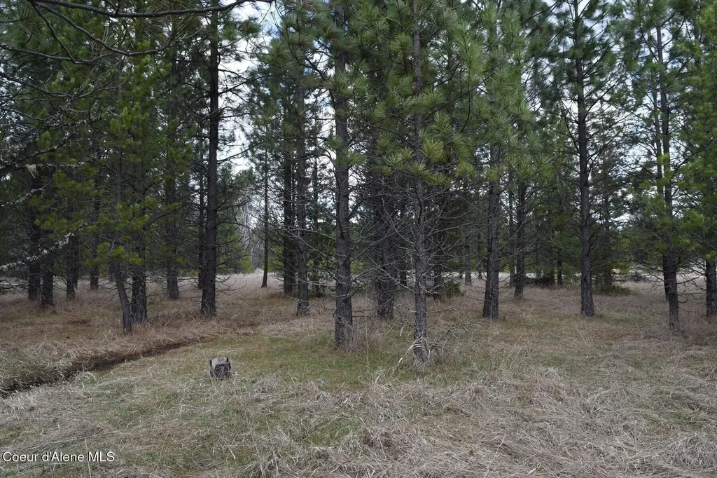 Nna Ponderesa Ranch Road Sagle ID 83860