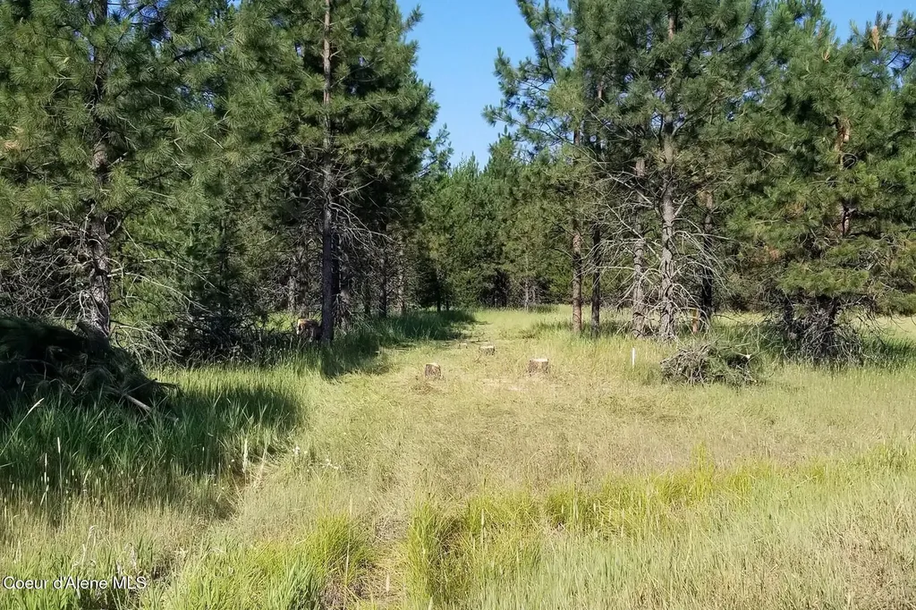 Nna Ponderesa Ranch Road Sagle ID 83860