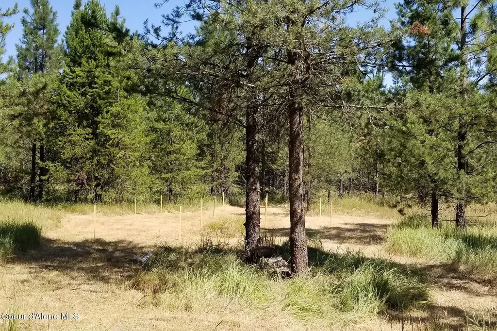 Nna Ponderesa Ranch Road Sagle ID 83860