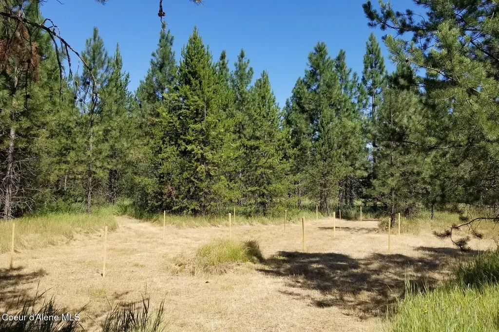Nna Ponderesa Ranch Road Sagle ID 83860