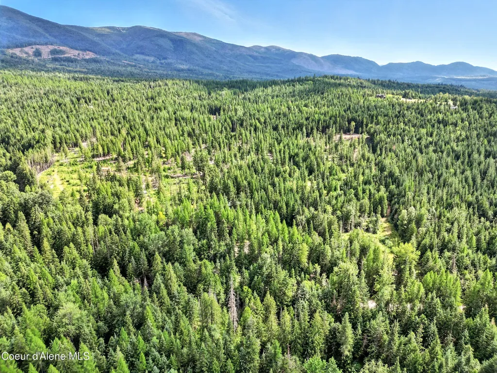 528 Trapper Creek Road Sandpoint ID 83864