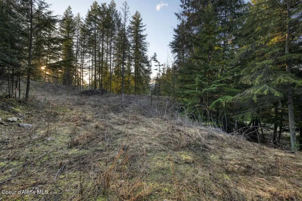 Nna White Cloud Sandpoint ID 83864