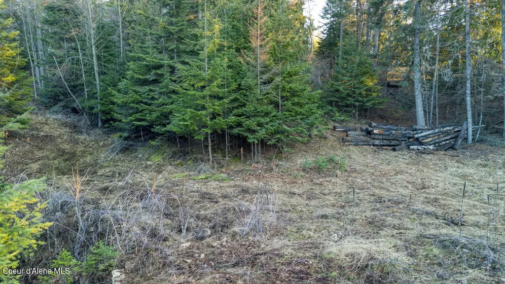 Nna White Cloud Sandpoint ID 83864