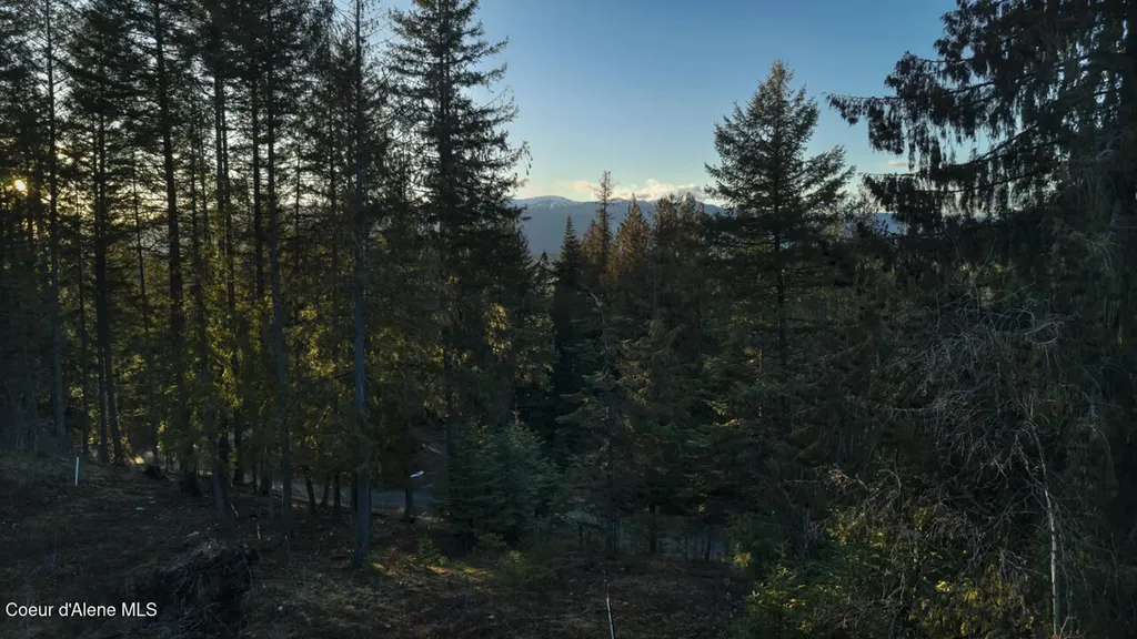 Nna White Cloud Sandpoint ID 83864