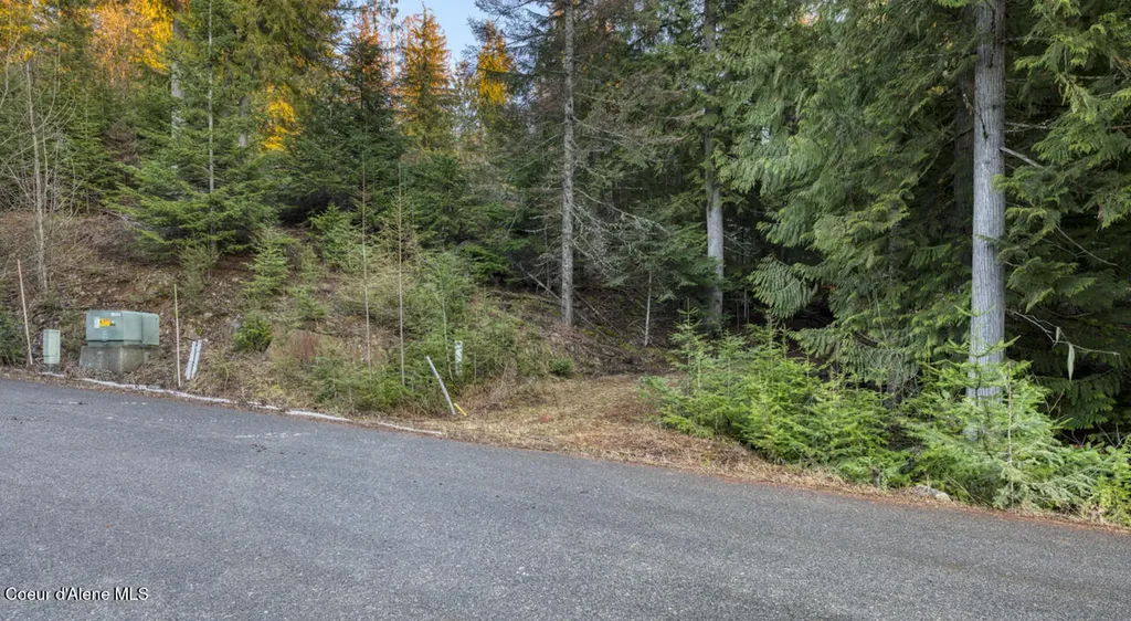 Nna White Cloud Sandpoint ID 83864