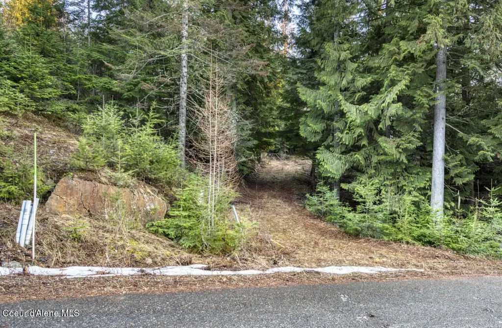 Nna White Cloud Sandpoint ID 83864