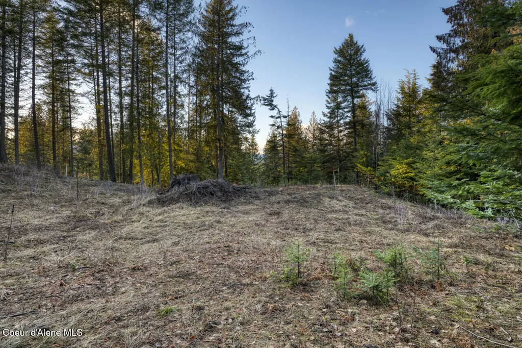 Nna White Cloud Sandpoint ID 83864