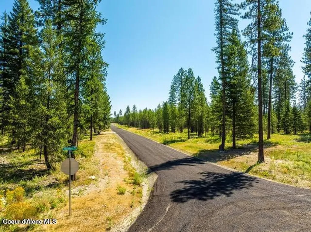 Block 2 Lot 2 Nna Cannon Lane Blanchard ID 83804