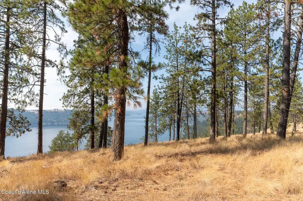 Nka 42-ac Incline Drive Harrison ID 83833