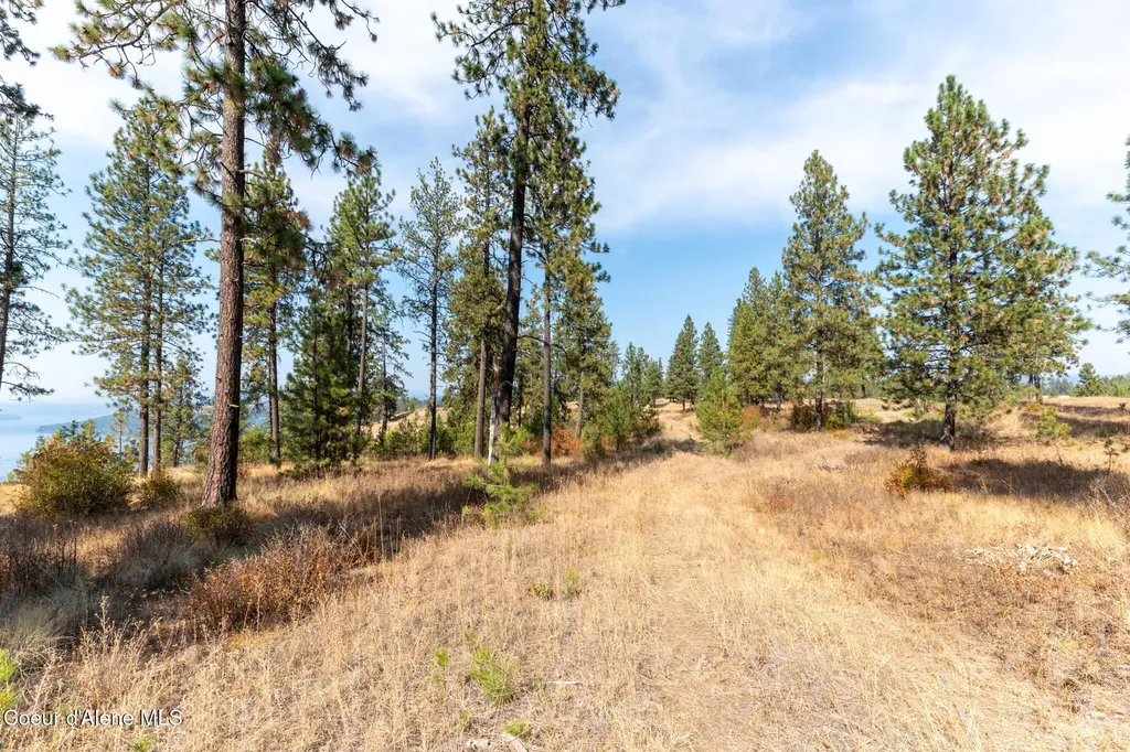 Nka 42-ac Incline Drive Harrison ID 83833