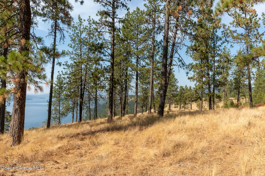 Nka 42-ac Incline Drive Harrison ID 83833