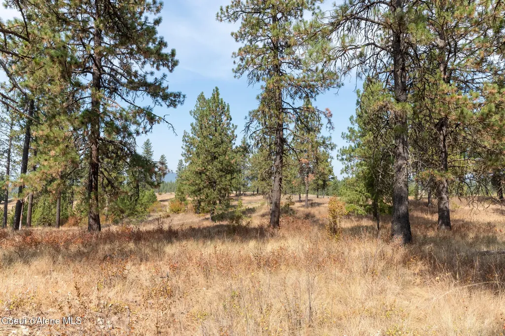Nka 42-ac Incline Drive Harrison ID 83833