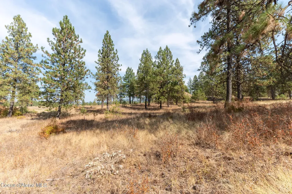 Nka 42-ac Incline Drive Harrison ID 83833