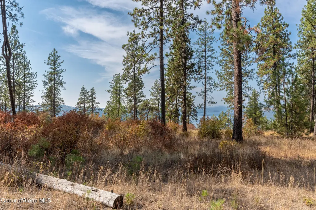 Nka 42-ac Incline Drive Harrison ID 83833