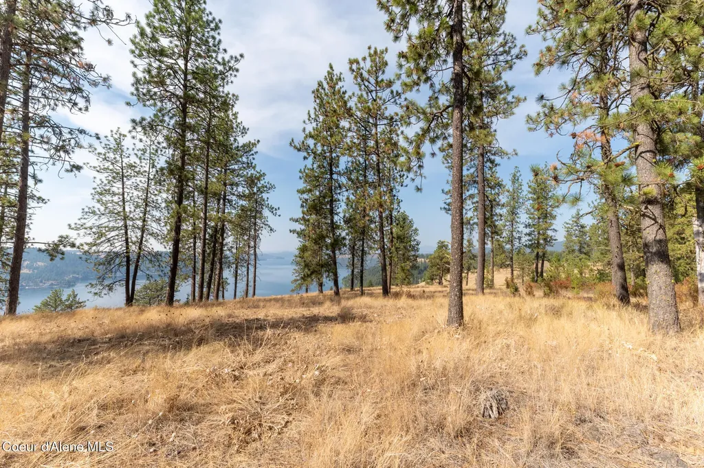 Nka 42-ac Incline Drive Harrison ID 83833
