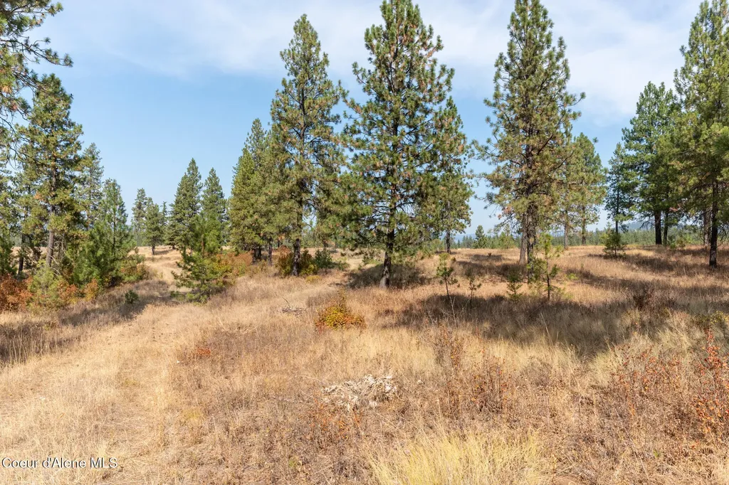 Nka 42-ac Incline Drive Harrison ID 83833