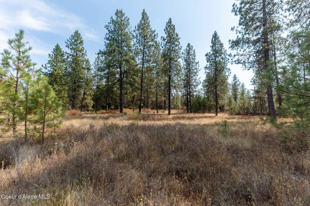 Nka 42-ac Incline Drive Harrison ID 83833