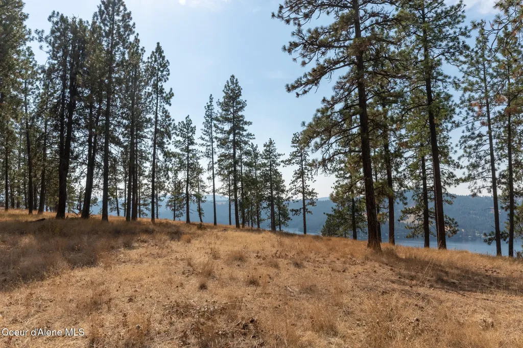 Nka 42-ac Incline Drive Harrison ID 83833