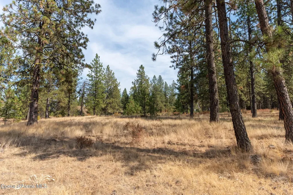 Nka 42-ac Incline Drive Harrison ID 83833
