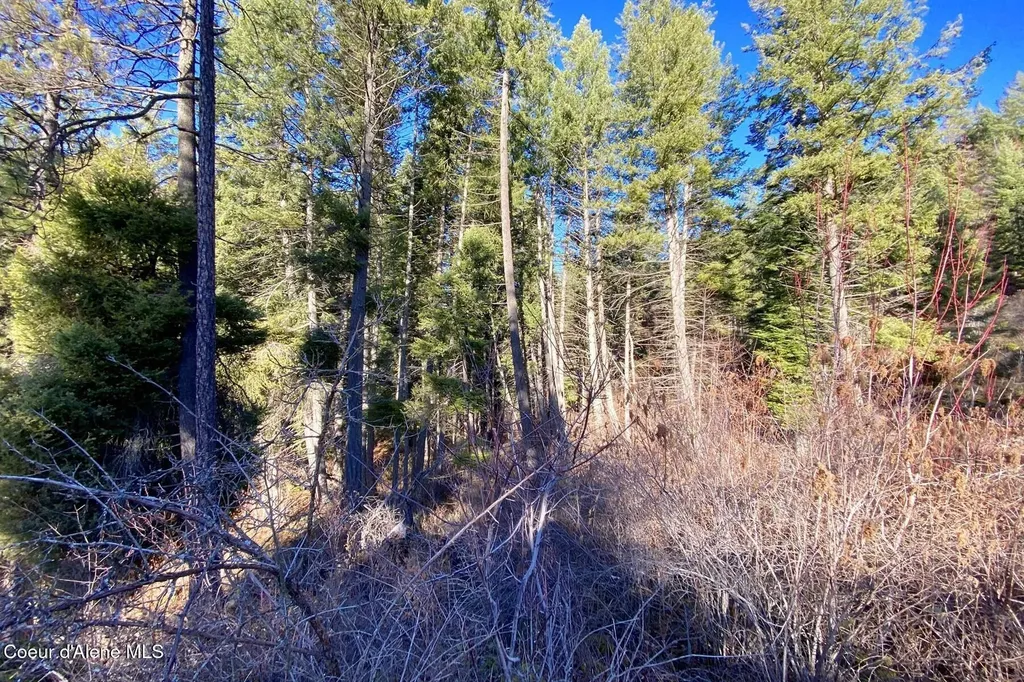 150 Castle Crest Hope ID 83836